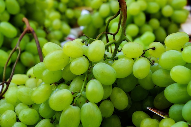 Vignobles en gros plan à vendre au stand du marché