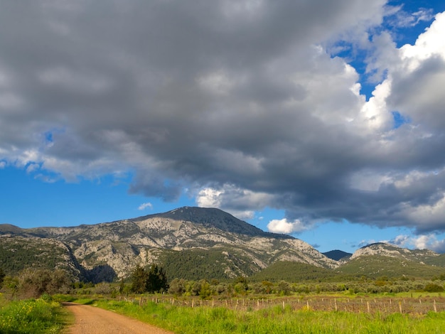 Vignobles et une route de campagne sur le fond du mont Dirfys enneigé sur l'île grecque