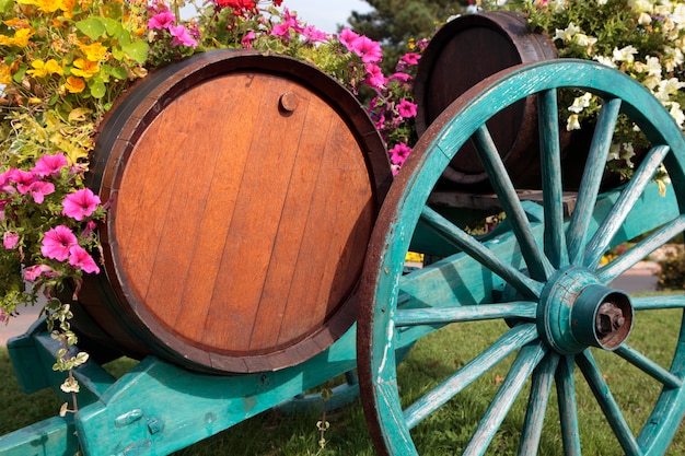 Vignobles et vignes de vin de village de vin français.