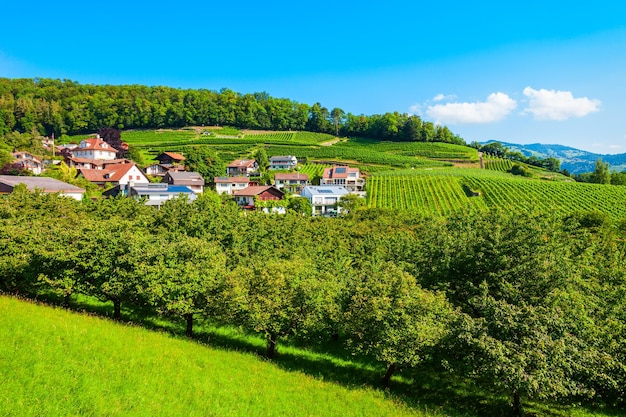 Vignobles de la ville de Spiez Suisse