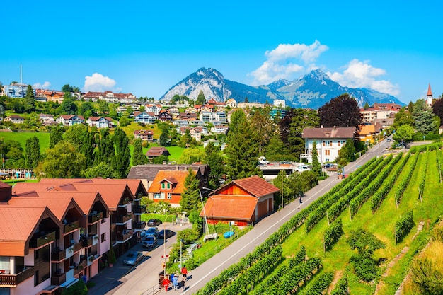 Vignobles de la ville de Spiez Suisse