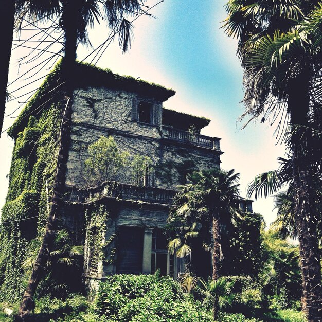 Photo villa abandonnée couverte de plantes