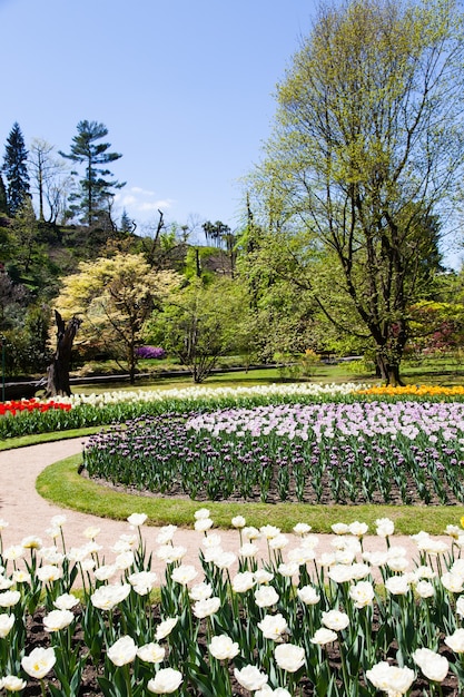 Villa Tarente - Italie. Célèbre jardin à l'italienne avec un espace dédié à la culture des tulipes.