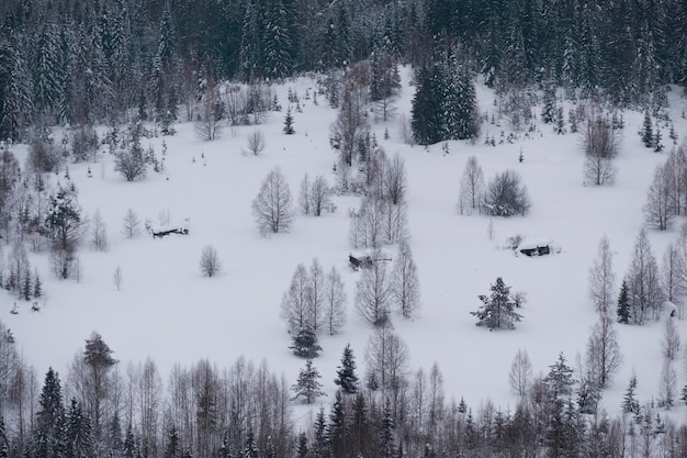 Village abandonné avec des maisons en bois détruites dans la forêt Paysage d'hiver terne et triste