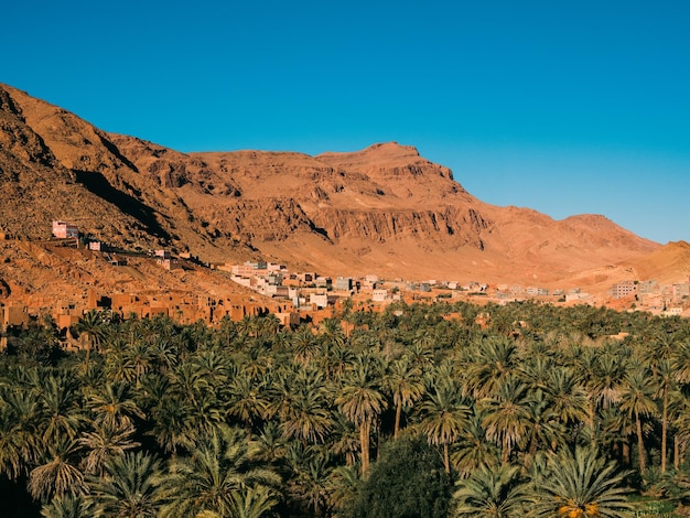 Photo un village arabe dans les montagnes avec une mer de palmiers en face