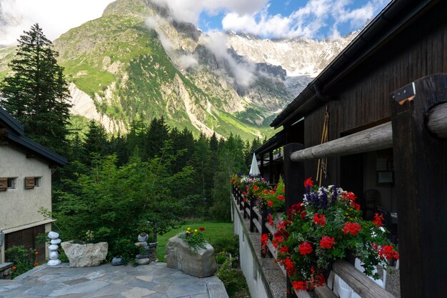 Un village avec une belle vue sur les Alpes européennes au loin. Route parmi la nature