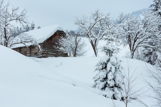 Village des Carpates d'hiver
