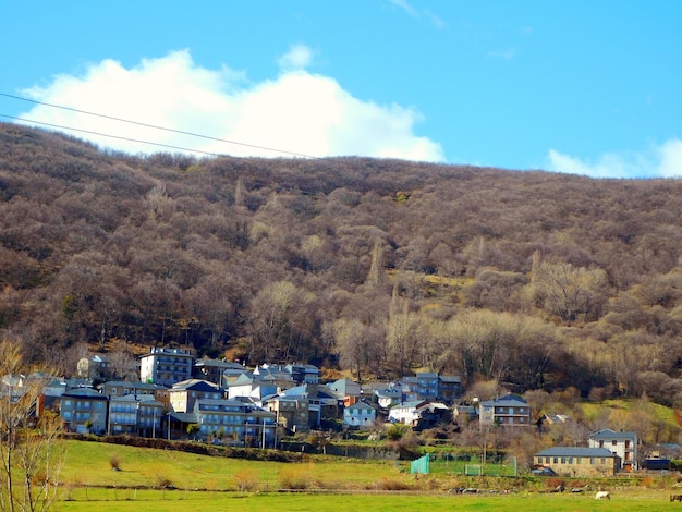 Un village dans les montagnes avec des arbres sur la colline