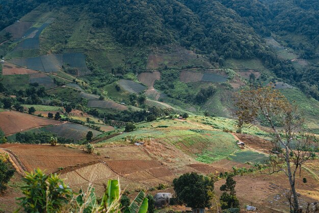 Photo village dans les montagnes en asie et zone agricole