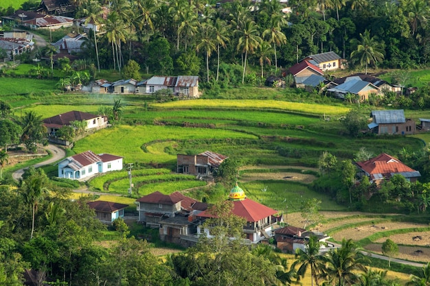 Photo un village dans les montagnes des batanes