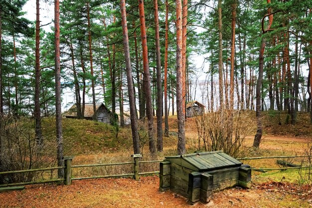 Village ethnographique en plein air, Riga, Lettonie