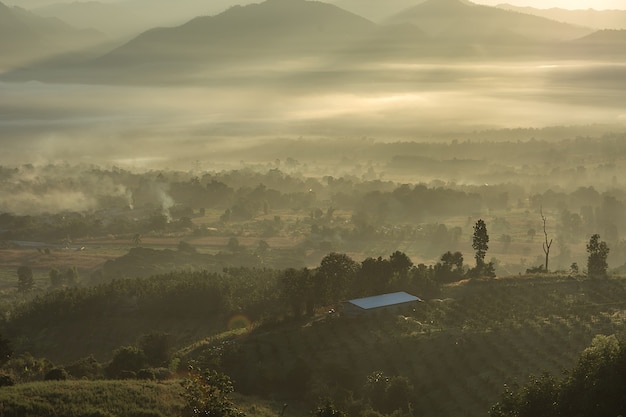 Le village haut dans le brouillard, Mountain National Park, à Pai, Mae Hong Son, en Thaïlande.