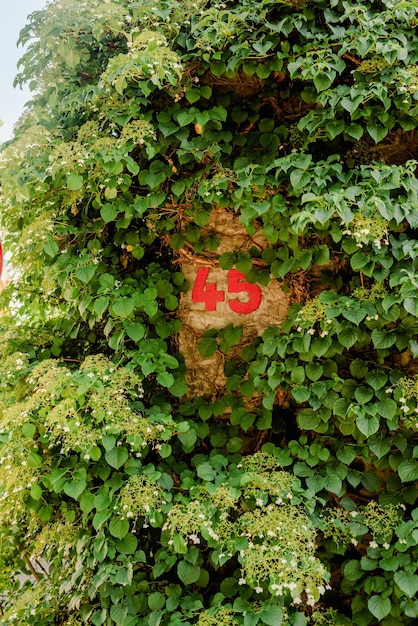 Village historique allemand Gruiten Gruiten Dorf été 2022