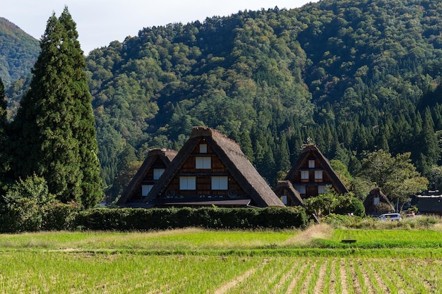 Village japonais traditionnel et historique Shirakawago