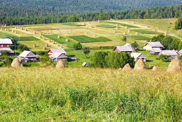 Village de montagne d'été à la périphérie avec des meules de foin sur terrain (Carpates, Ukraine)