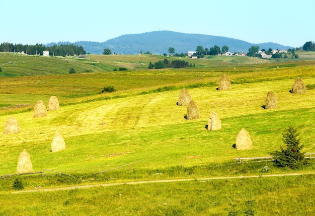 Village de montagne d'été à la périphérie avec des meules de foin sur terrain (Carpates, Ukraine)