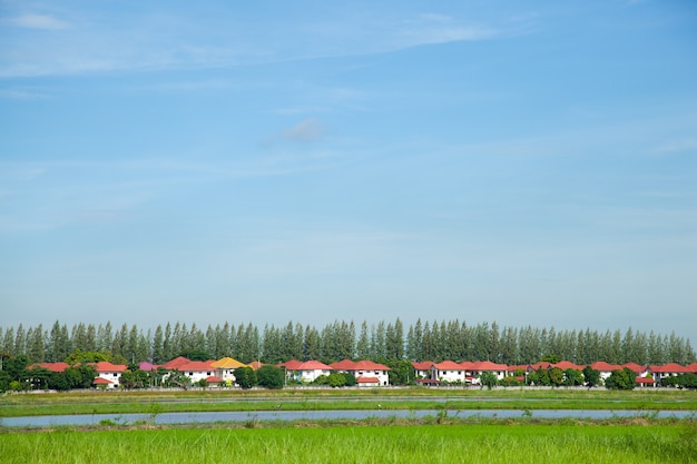 Village avec la nature.