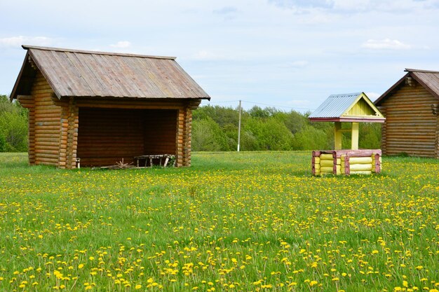 village russe avec pavillons en bois, puits en bois et pelouse avec pissenlits jaunes et ciel nuageux