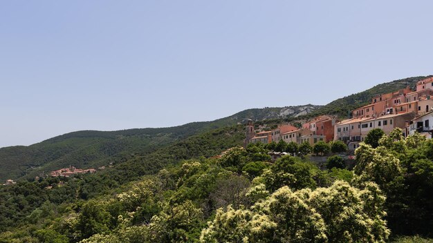 Village Sant'ilario in Campo sur colline avec forêt sur Province de Livourne, Île d'Elbe, Italie