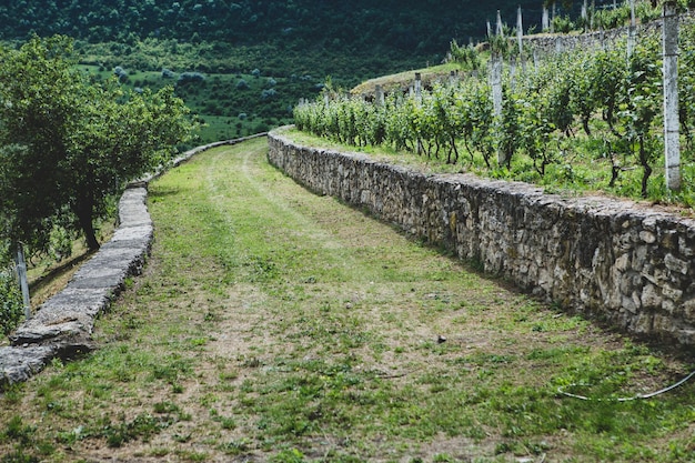 Le village de Stroiesti est une ville rurale très pittoresque de la République de Moldavie