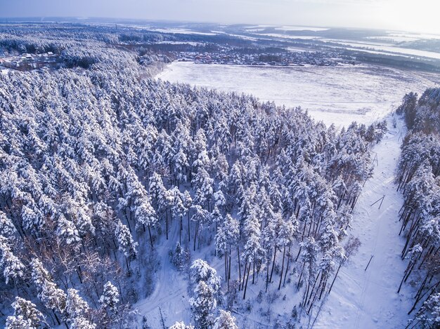 Village tonique près du champ Forêt d'hiver autour de Ciel nuageux et soleil Vue aérienne