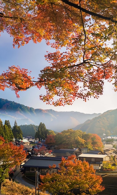 Photo village de vue de saison d'automne du japon