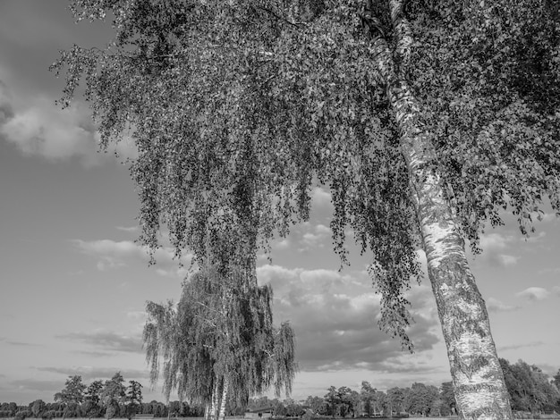 le village de Weseke en Westphalie