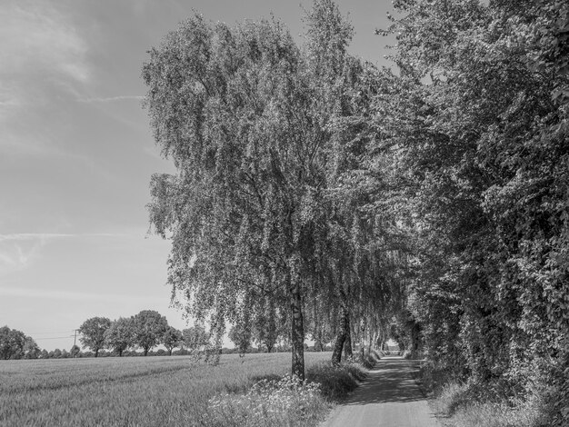 le village de Weseke en Westphalie