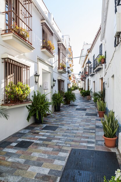 Villages d&#39;Andalousie avec des fleurs dans les rues