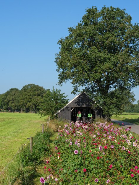 Photo la ville de bredevoort aux pays-bas