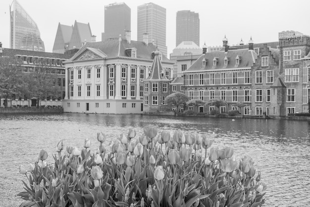 Photo la ville de den haag aux pays-bas