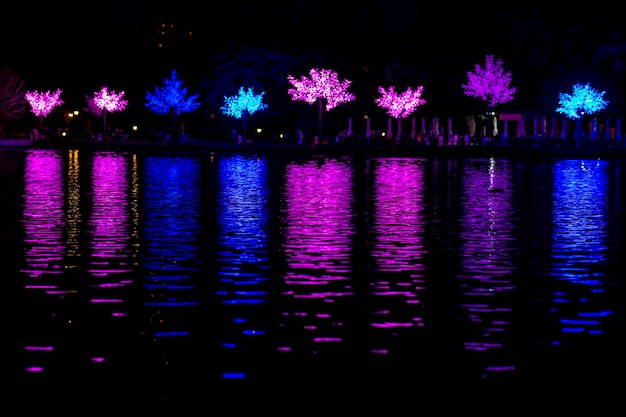 Photo la ville éclairée la nuit