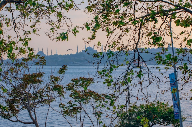 une ville est vue depuis l'eau avec une ville en arrière-plan