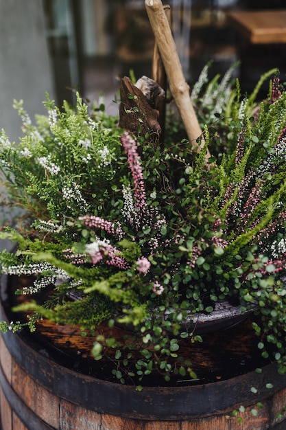 La Ville Européenne Est Décorée De Diverses Fleurs Et Plantes Dans Un Tonneau.