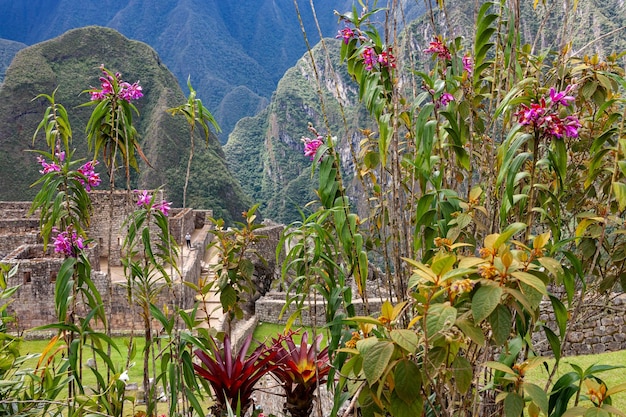 La ville Inca de Machu Picchu au Pérou Amérique du Sud