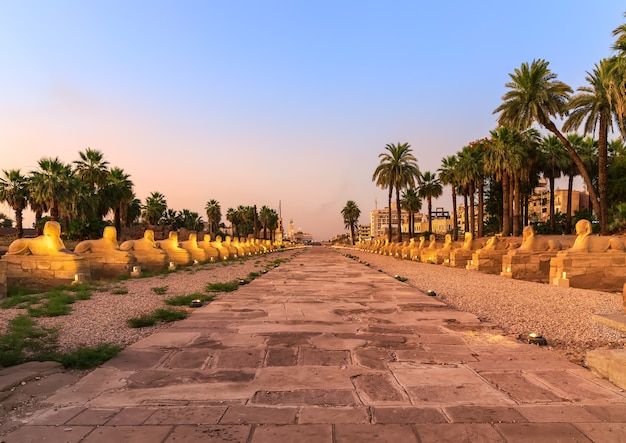 La ville de Louxor, vue du soir sur l'allée du Sphinx, Egypte.