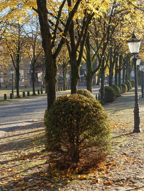 La ville de Nottuln en Wettphalie