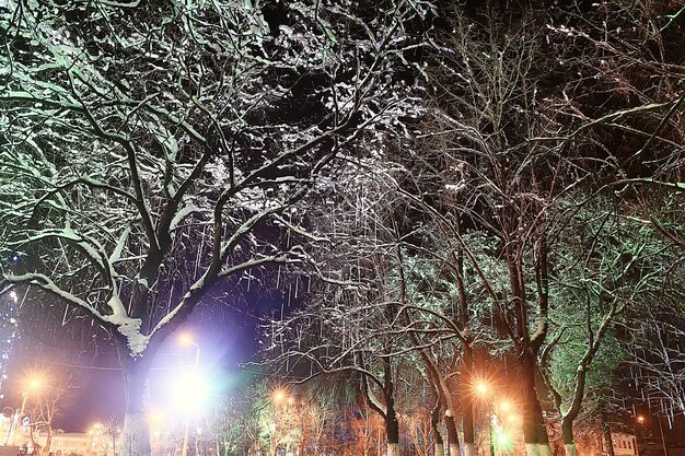 ville de nuit hiver / paysage en janvier lumières de la ville décorées pour les vacances, arbres dans un parc de la ville, paysage d'hiver