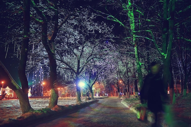 ville de nuit hiver / paysage en janvier lumières de la ville décorées pour les vacances, arbres dans un parc de la ville, paysage d'hiver