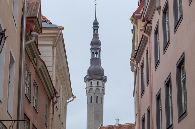 la ville de Tallinn.