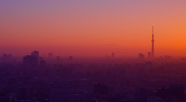 Ville de Tokyo et tour d'arbre de Tokyo Sky Vue aérienne de la ville de tokyo avec la célèbre destination de voyage landma