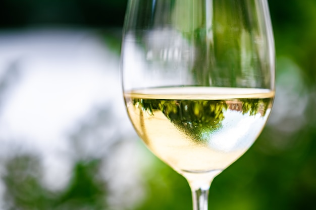 Vin blanc dans un restaurant de luxe sur une terrasse de jardin d'été Expérience de dégustation de vins dans une cave dans la vi...