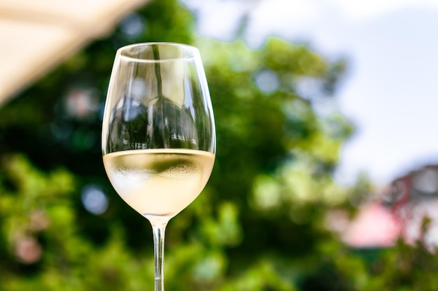 Vin blanc dans un restaurant de luxe sur une terrasse de jardin d'été Expérience de dégustation de vins dans une cave dans le vi...