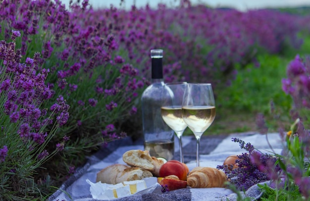 Vin fruits baies verres à fromage pique-nique dans le champ de lavande mise au point sélective