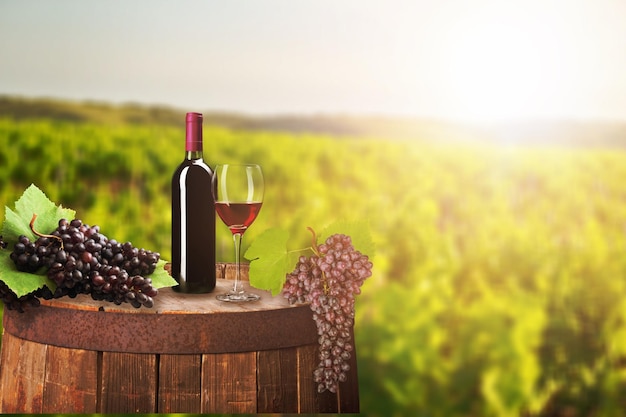 Vin rouge avec baril sur vignoble en arrière-plan vert nature