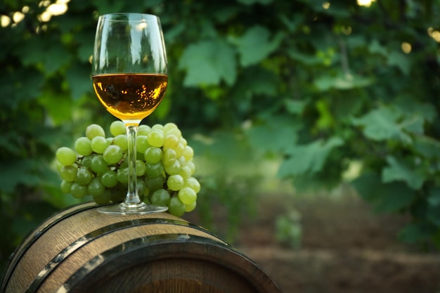 Vin en verre avec des raisins sur le tonneau dans le vignoble