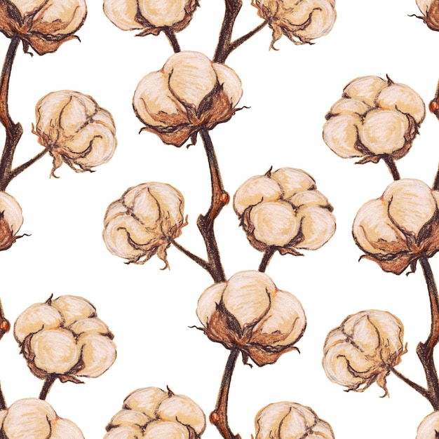 Vintage coton fleur plante sépia esquisse transparente motif texture fond