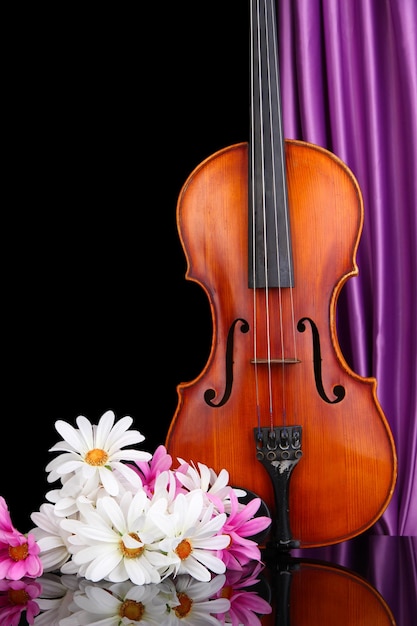 Photo violon classique sur fond de rideau