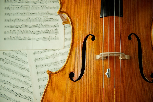 Violon avec des feuilles avec des notes de musique se bouchent