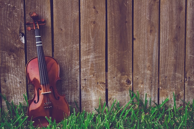 Violon sur herbe verte contre une clôture en bois